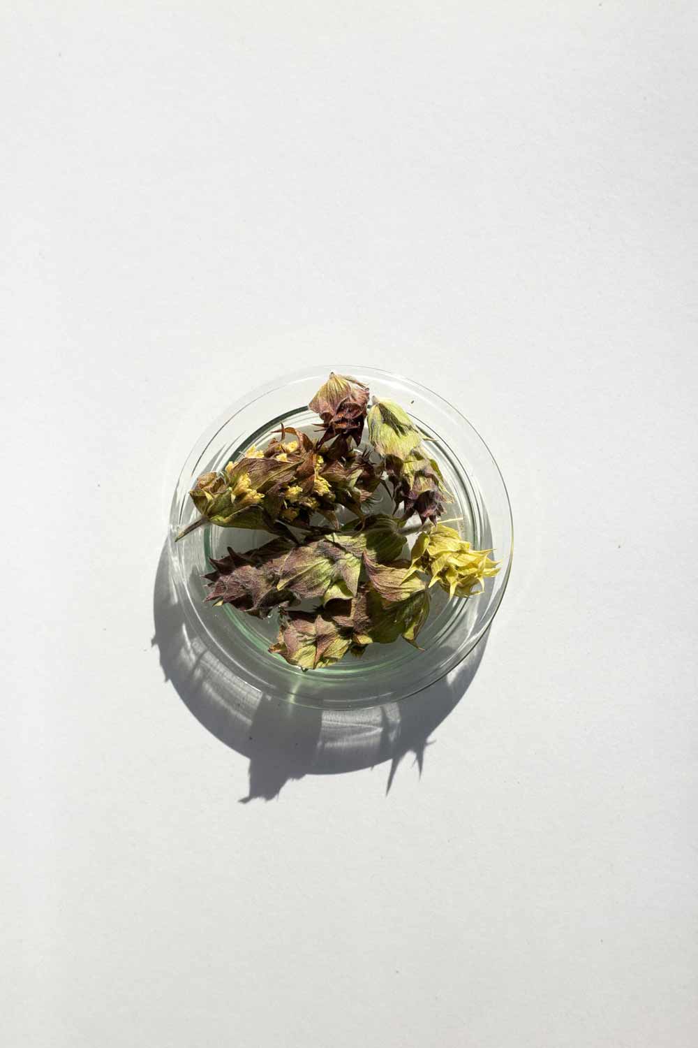 Daphnis and Chloe Mountain Tea Bouquet, 36g - Image 3