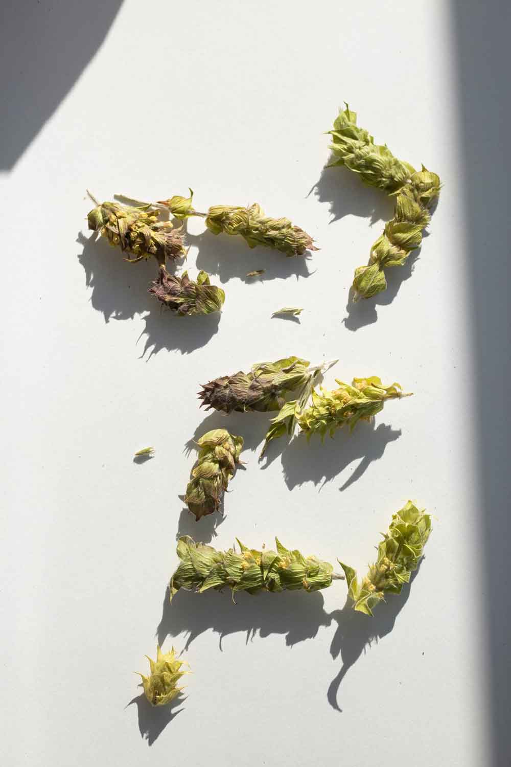 Daphnis and Chloe Mountain Tea Bouquet, 36g - Image 2