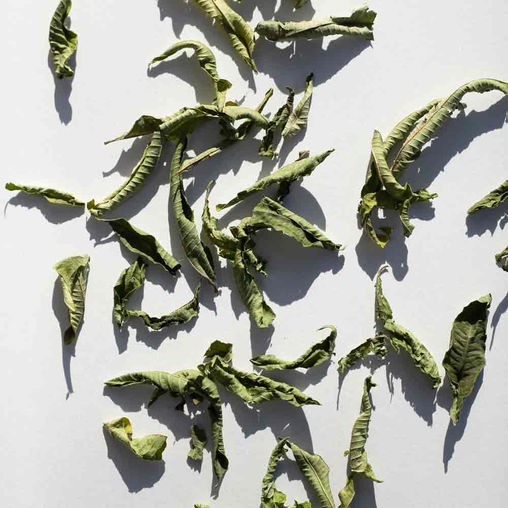 Daphnis and Chloe Our Lemon Verbena Herbal Tea, 10g - Image 2