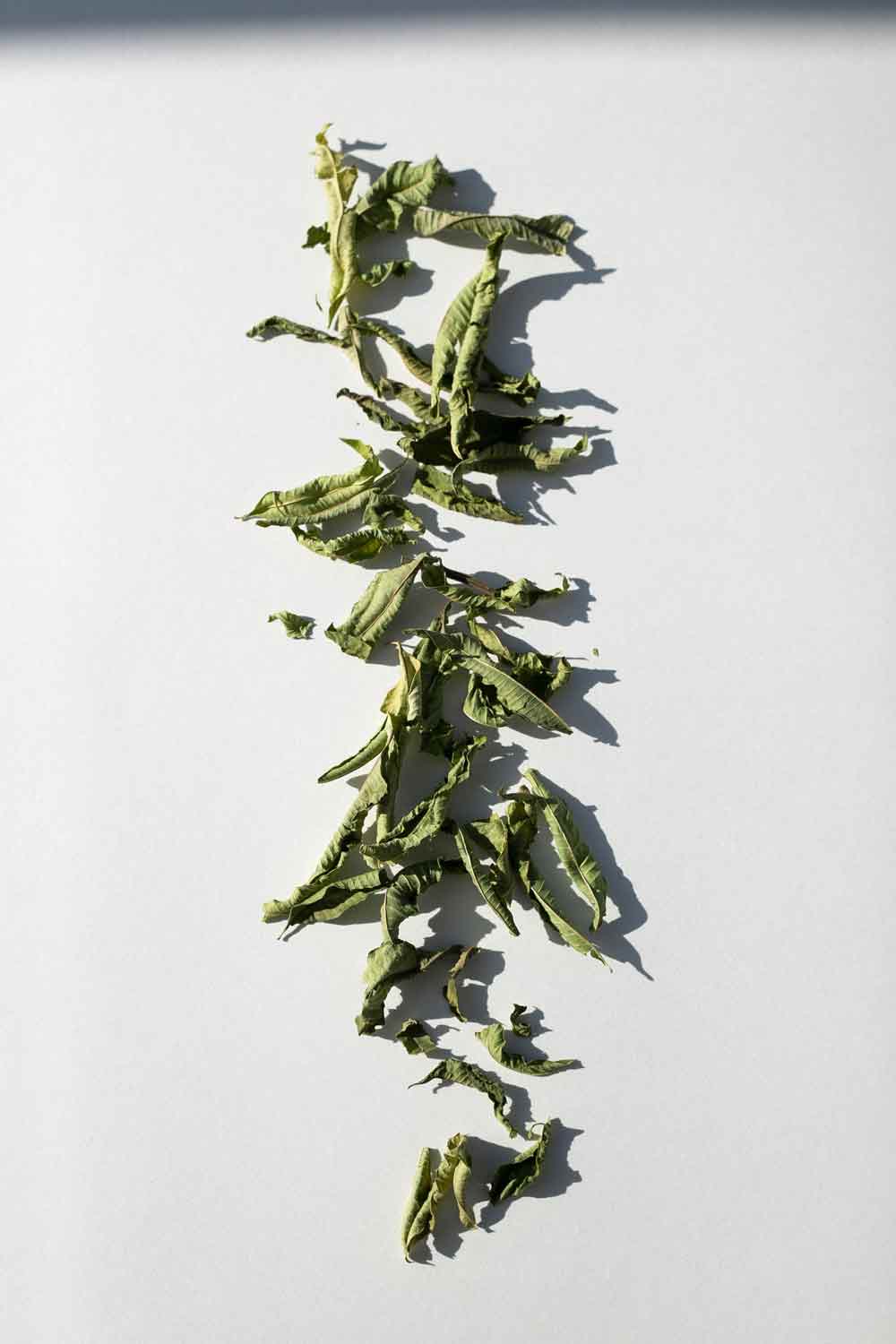 Daphnis and Chloe Our Lemon Verbena Herbal Tea, 10g - Image 4