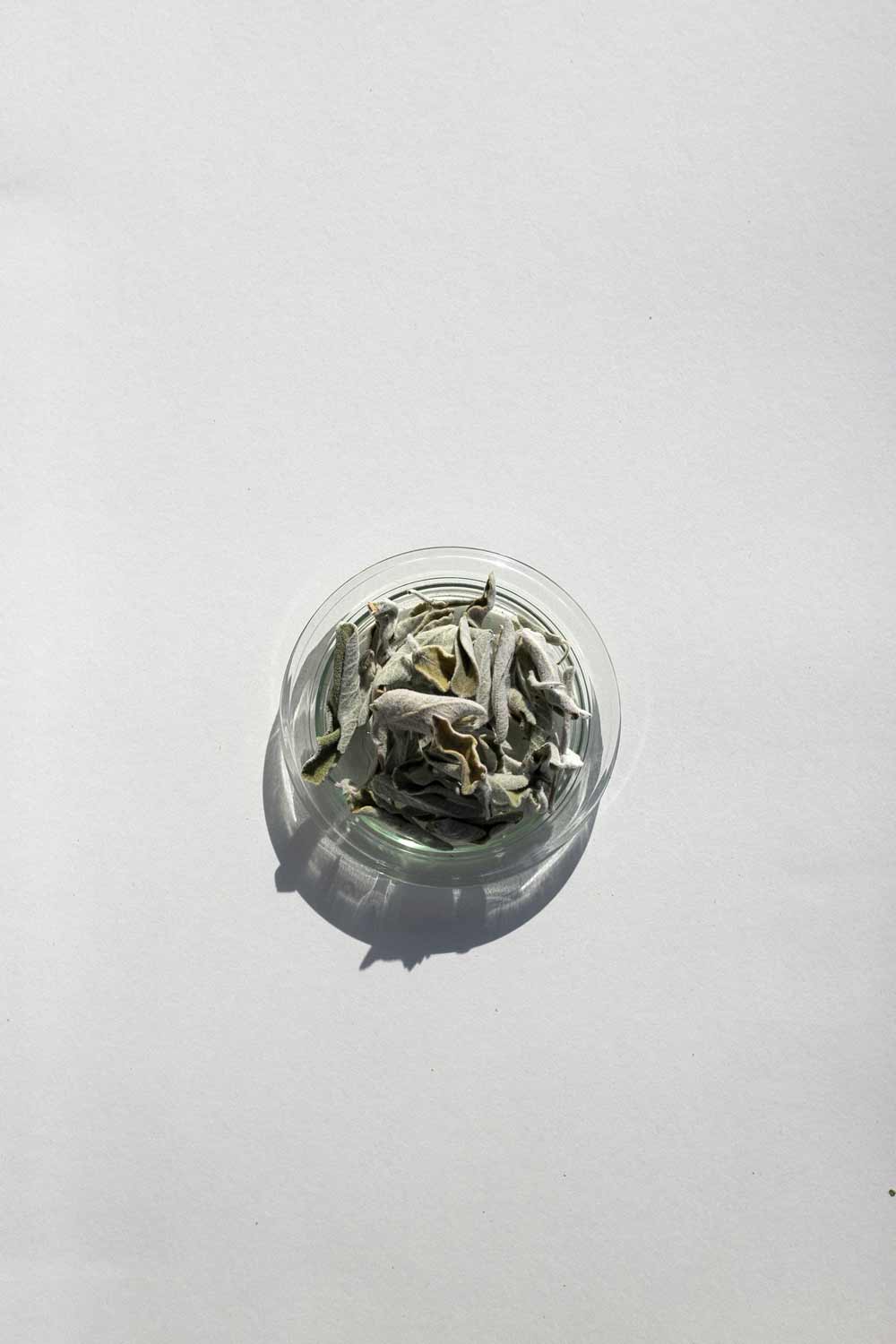 Daphnis and Chloe Unique Greek Sage Herbal Tea, 36g - Image 3