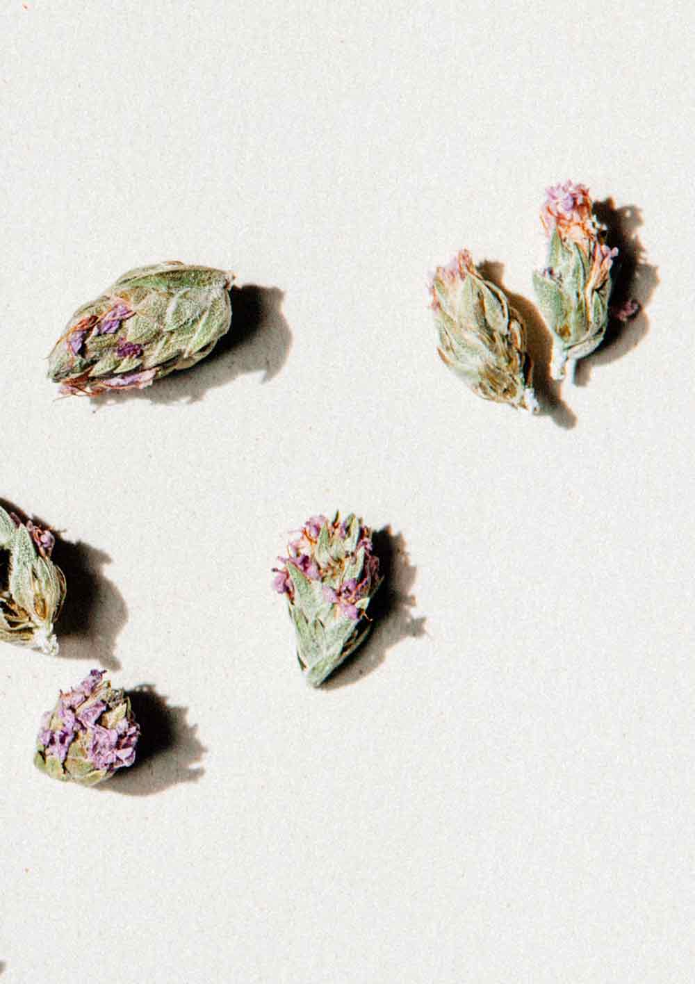 Daphnis and Chloe Wild Thyme Flowers Glass Jar, 14g - Image 2
