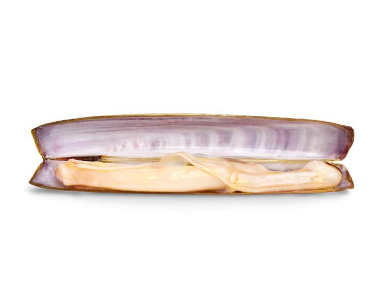 Espinaler Razor Clams 5/8 Pieces Classic Line, 120g - Image 2