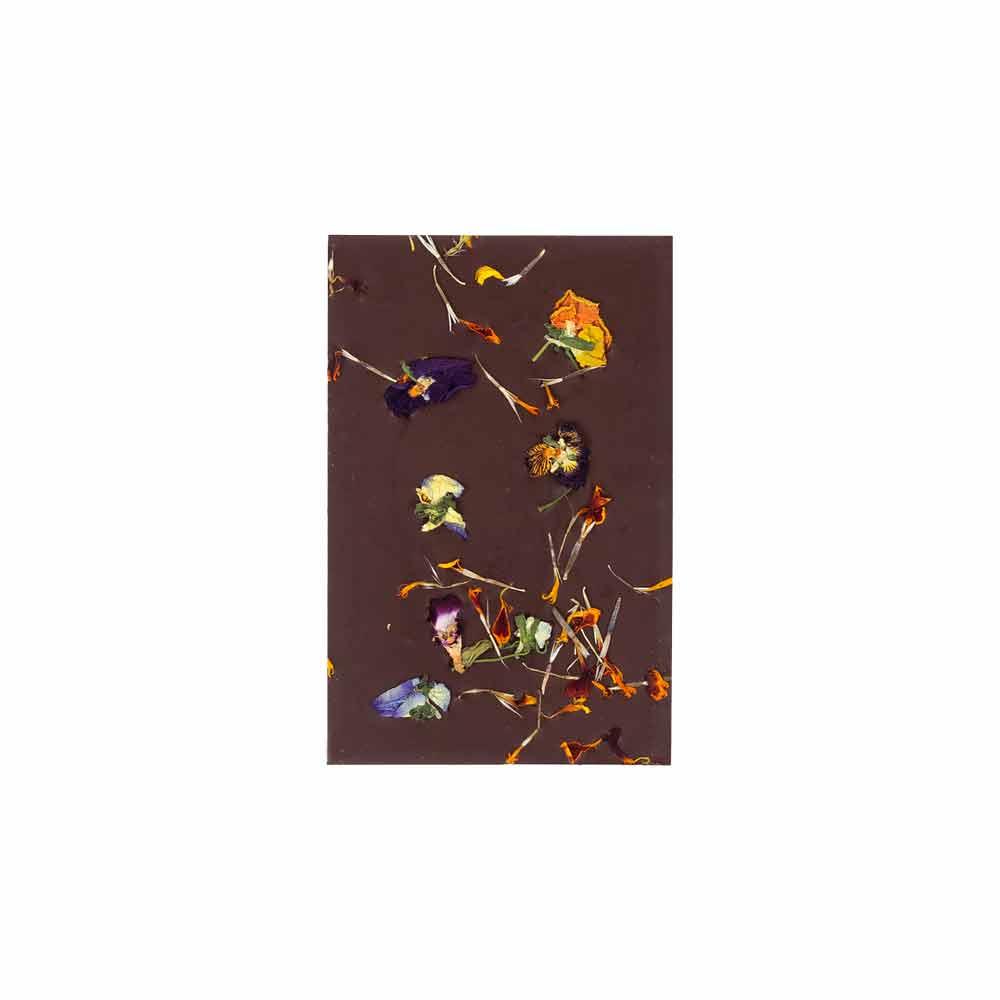 Fossa Full Bloom Dark Milk Chocolate (Limited Edition), 50g - Image 2