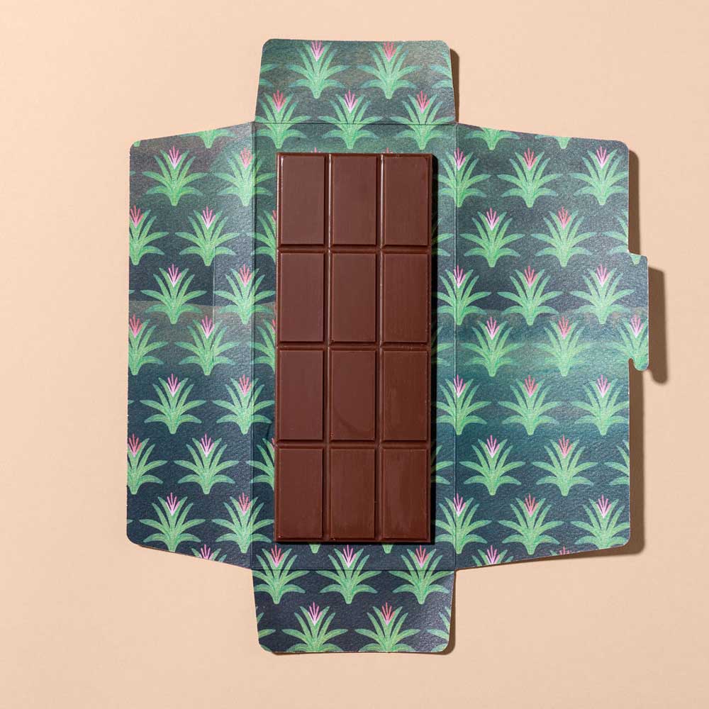 Monsoon Pisa Haiti 40% Milk Chocolate, 50g - Image 2
