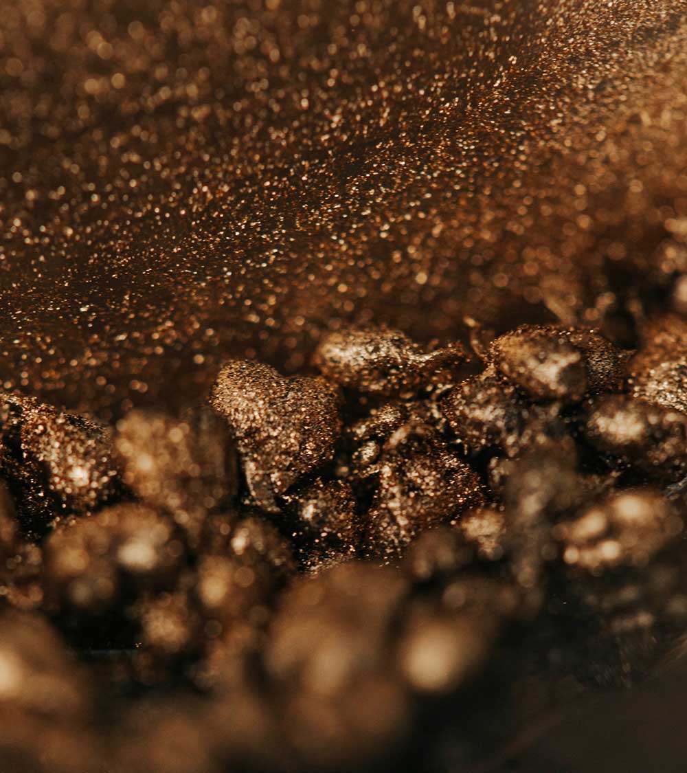 Alchemy by To'ak Amazonian Ants, 56g - Image 2