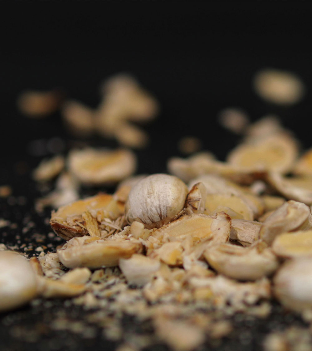 Alchemy by To'ak Rainforest Nuts, 56g - Image 2